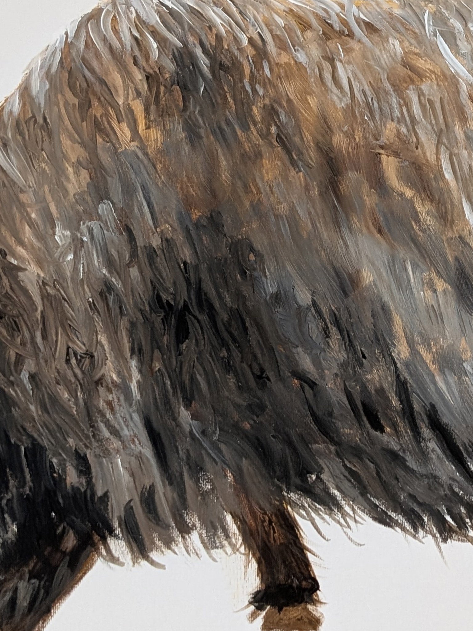 Big Sheep - Schaf auf Leinwandbild - modernes Tiermotiv