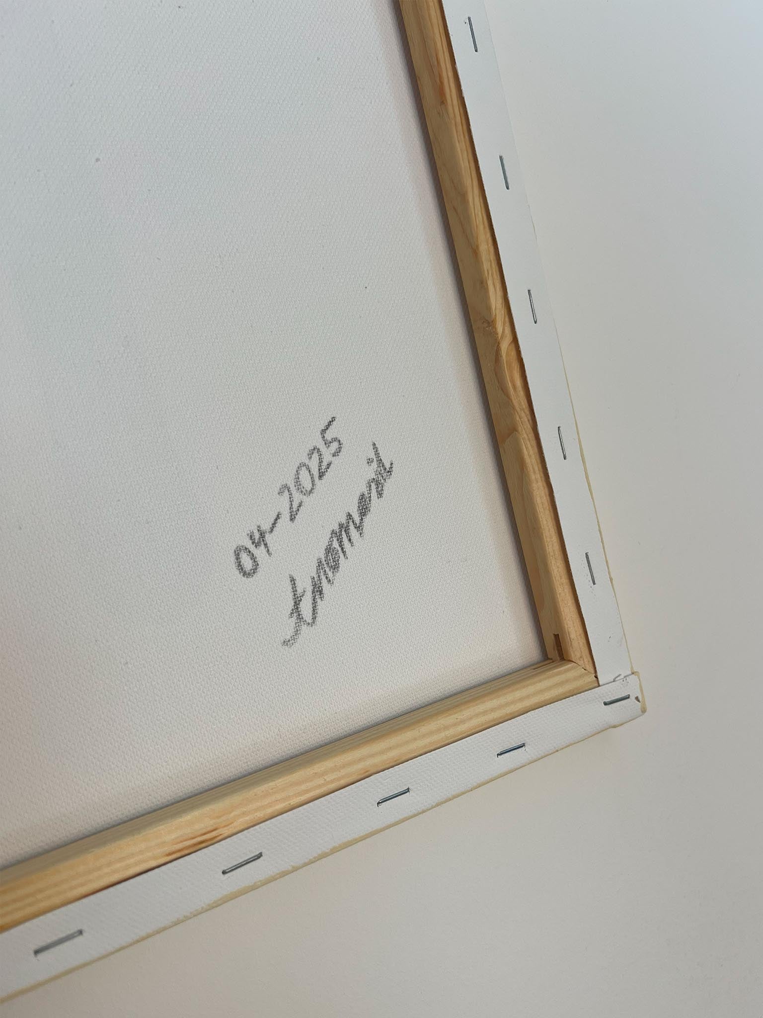 Pilz auf Leinwand - Natürliches Bild - groß und schmal - Acryl auf Leinwand -kreative Kunst