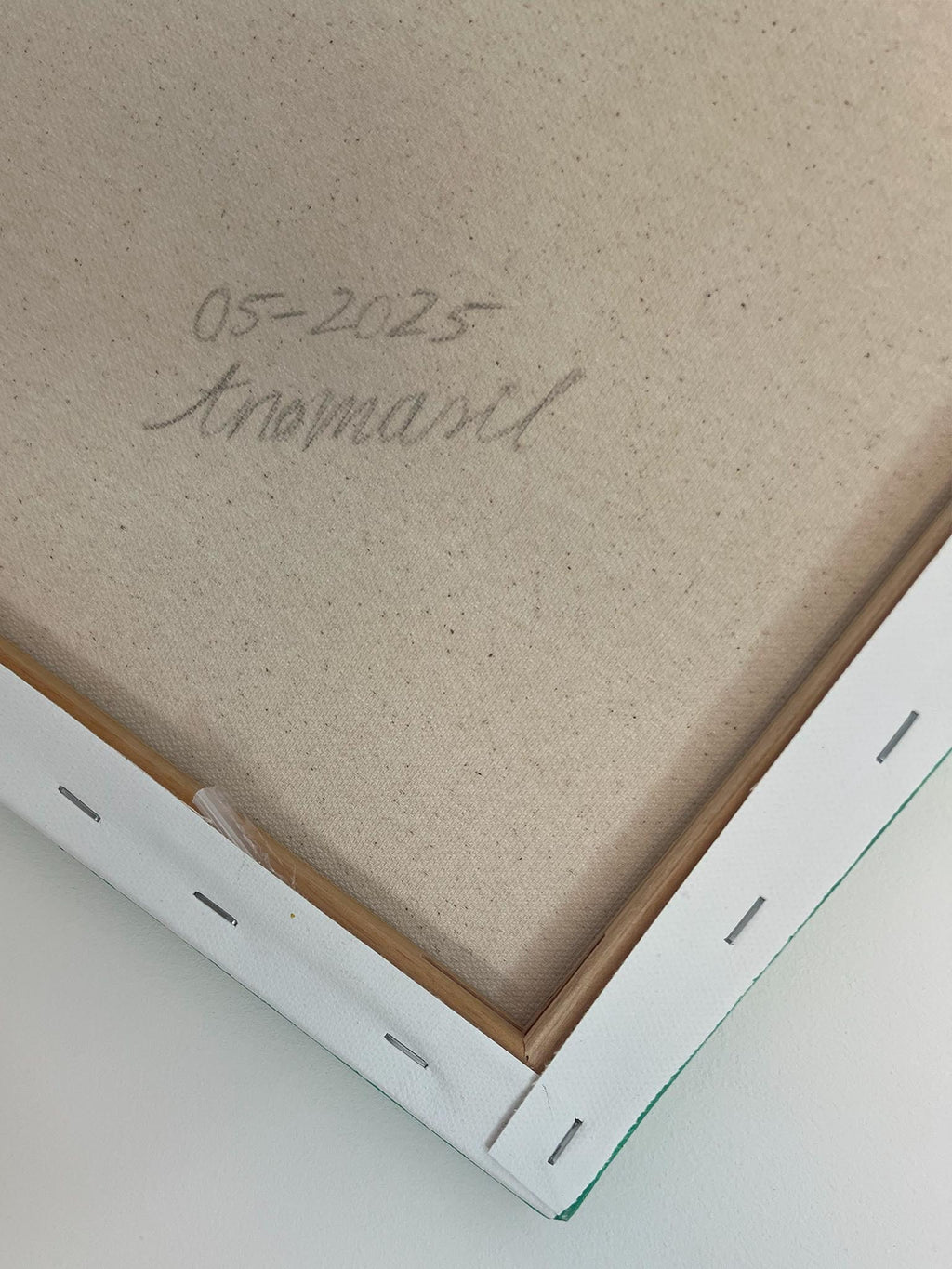 Libelle Kunst auf Leinwand mit grünem Hintergrund - Lebendiges harmonisches Wandbild