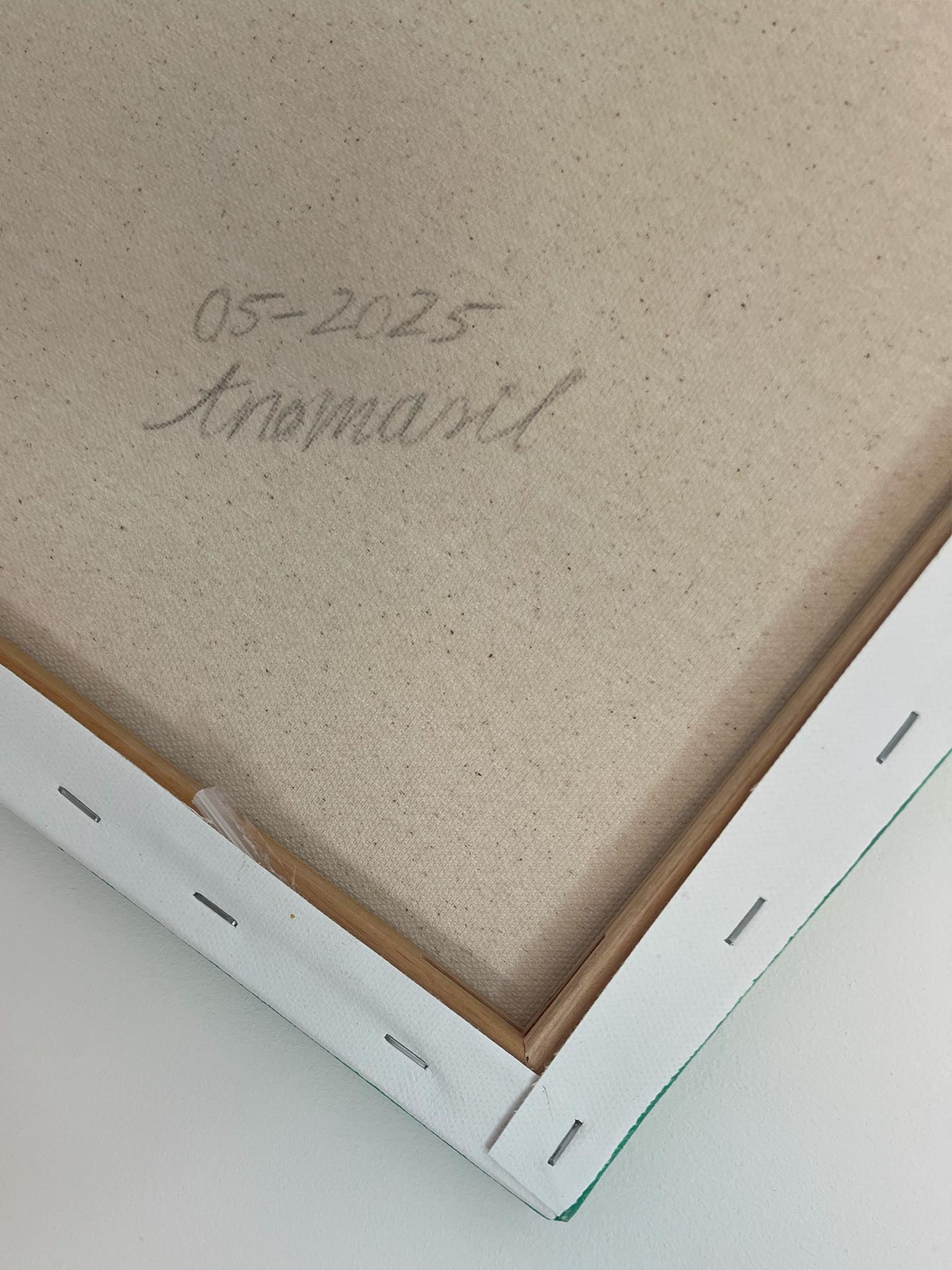 Libelle Kunst auf Leinwand mit grünem Hintergrund - Lebendiges harmonisches Wandbild