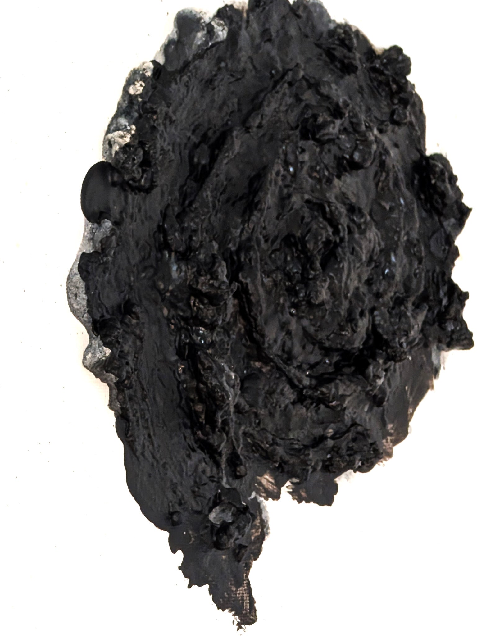 Muschel Leinwand mittel -  Detailreiche maritime Wanddekoration für Zuhause - selfmade