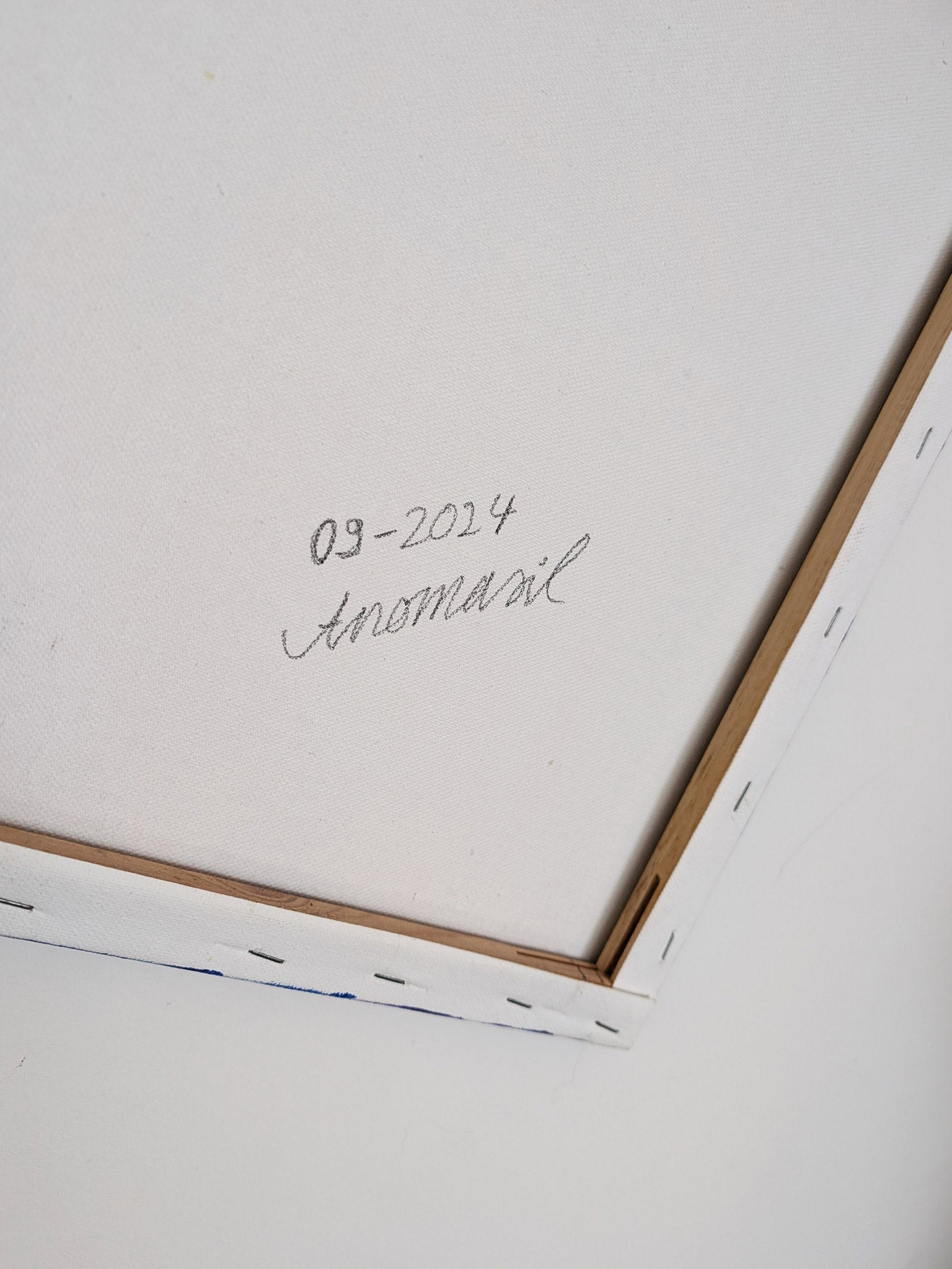 Bunter Papagei - Leinwand - Naturinspirierte Wandkunst im tropischen Look - Tierkunst