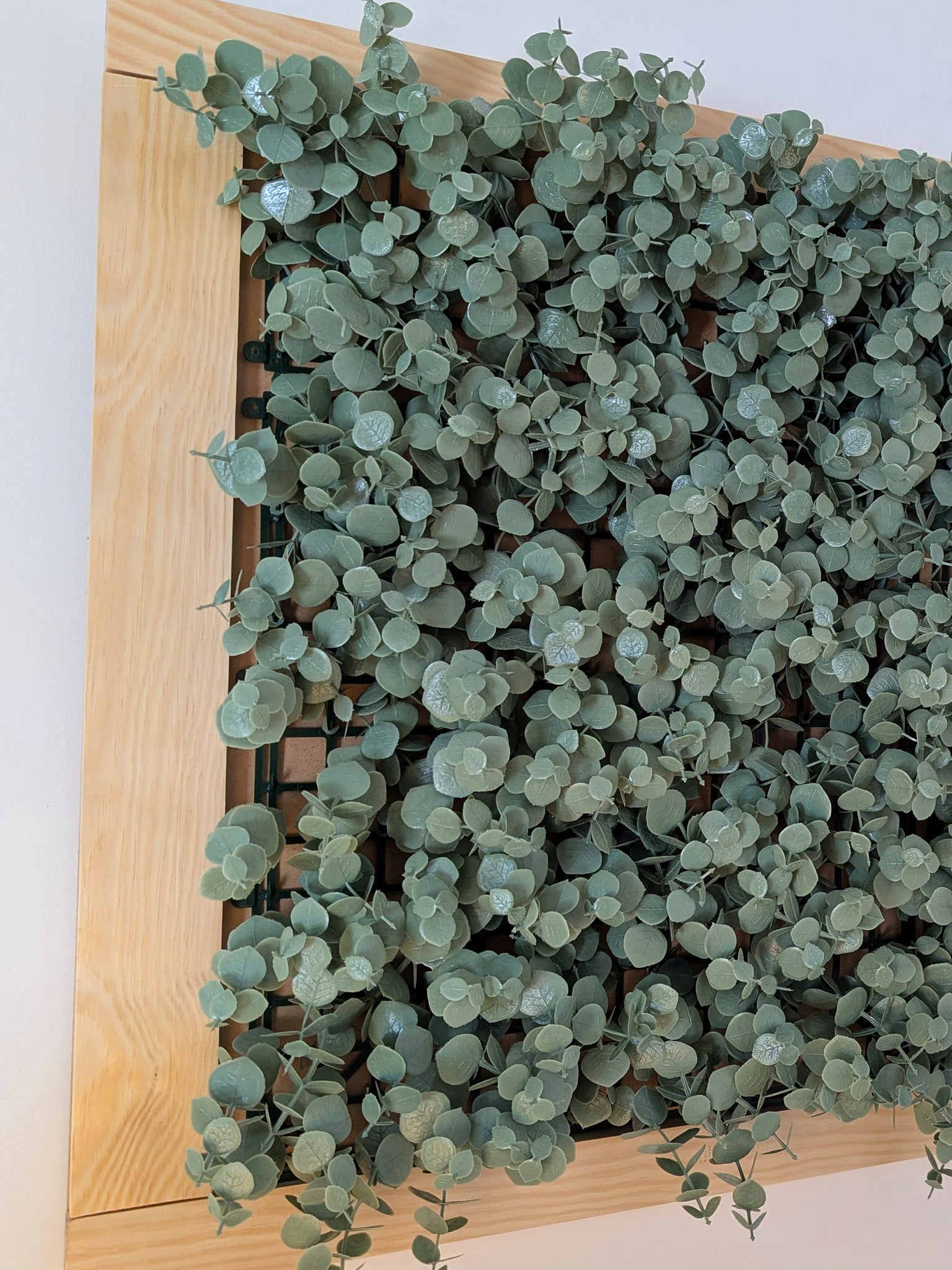 Grüner Klee gerahmt - Beruhigendes Naturmotive - harmonische Raumgestaltung - Naturbild - Rasen mit Rahmen