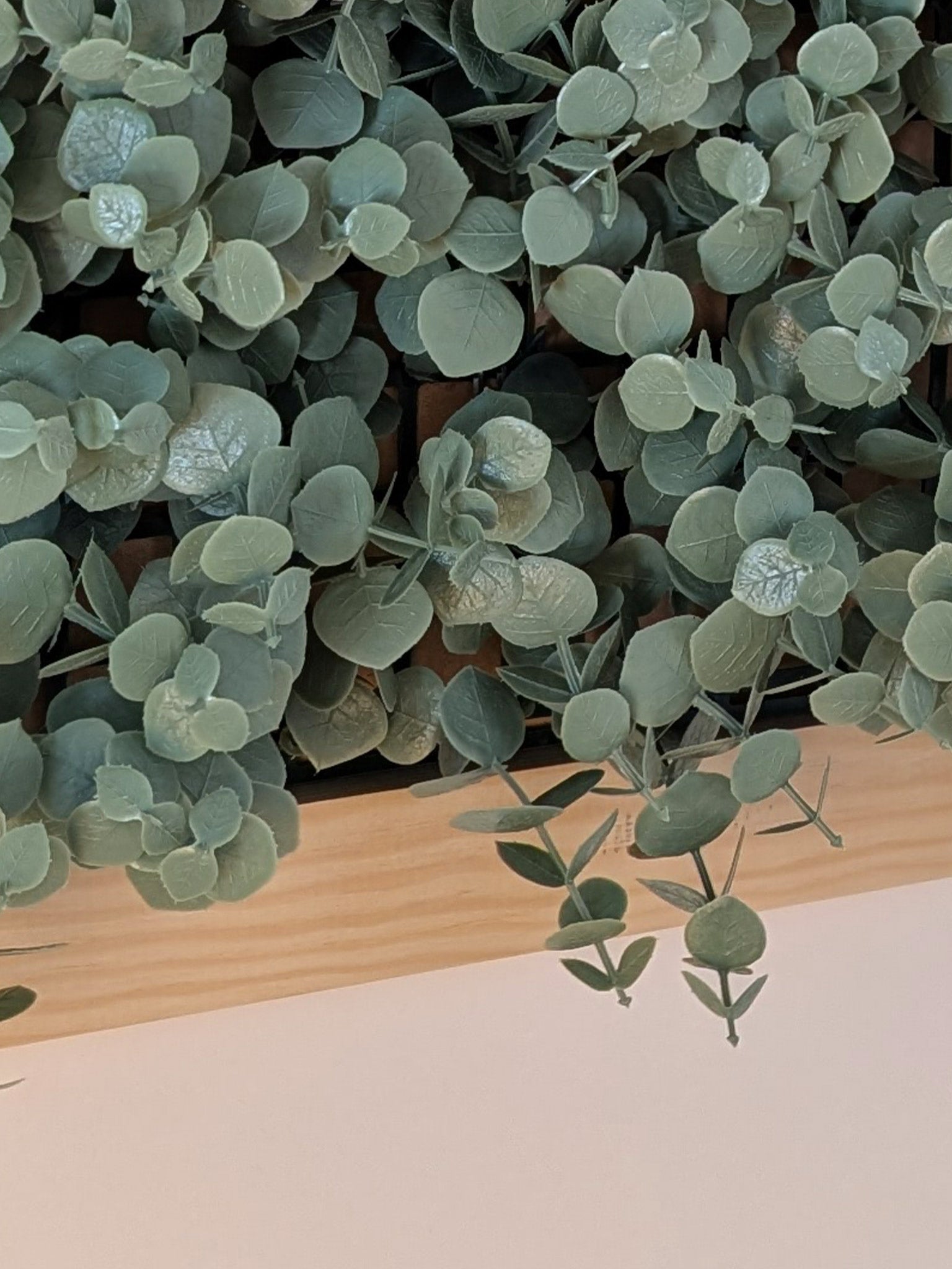 Grüner Klee gerahmt - Beruhigendes Naturmotive - harmonische Raumgestaltung - Naturbild - Rasen mit Rahmen