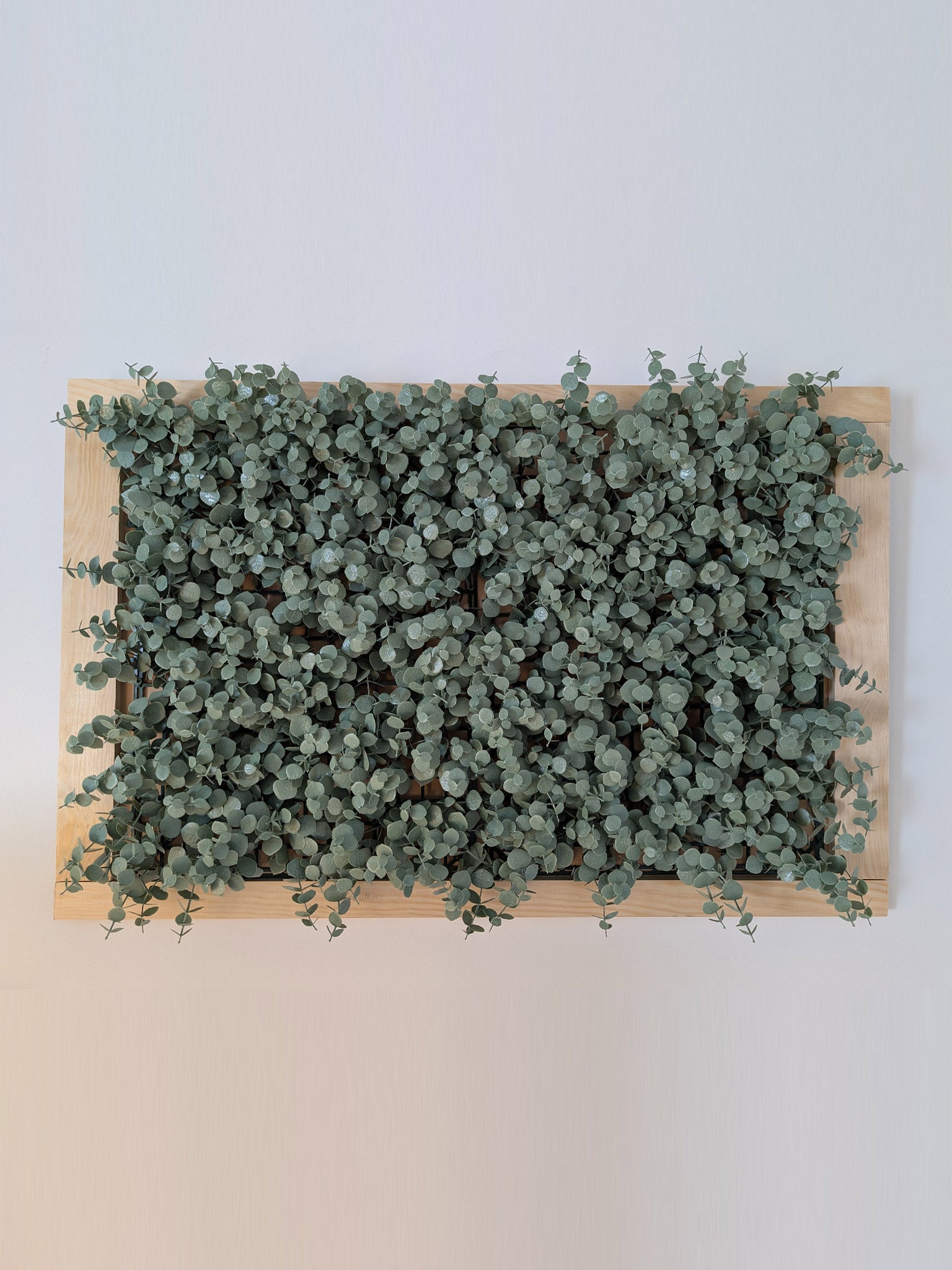 Grüner Klee gerahmt - Beruhigendes Naturmotive - harmonische Raumgestaltung - Naturbild - Rasen mit Rahmen