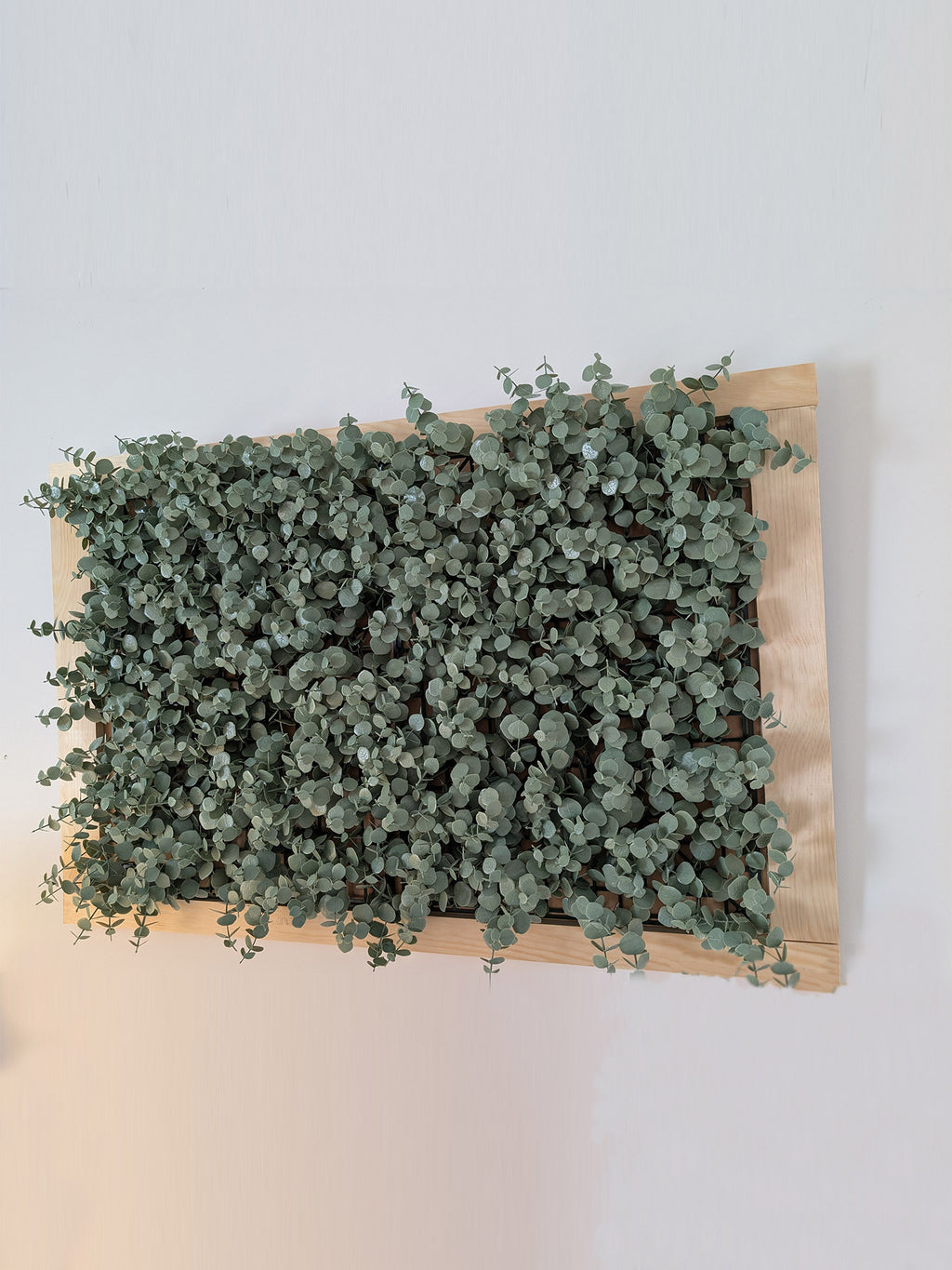 Grüner Klee gerahmt - Beruhigendes Naturmotive - harmonische Raumgestaltung - Naturbild - Rasen mit Rahmen