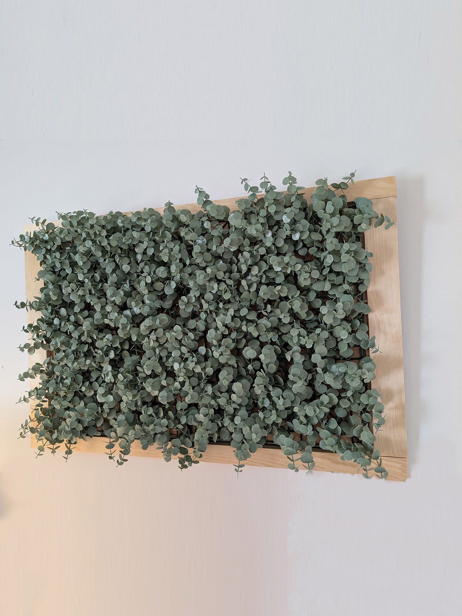 Grüner Klee gerahmt - Beruhigendes Naturmotive - harmonische Raumgestaltung - Naturbild - Rasen mit Rahmen