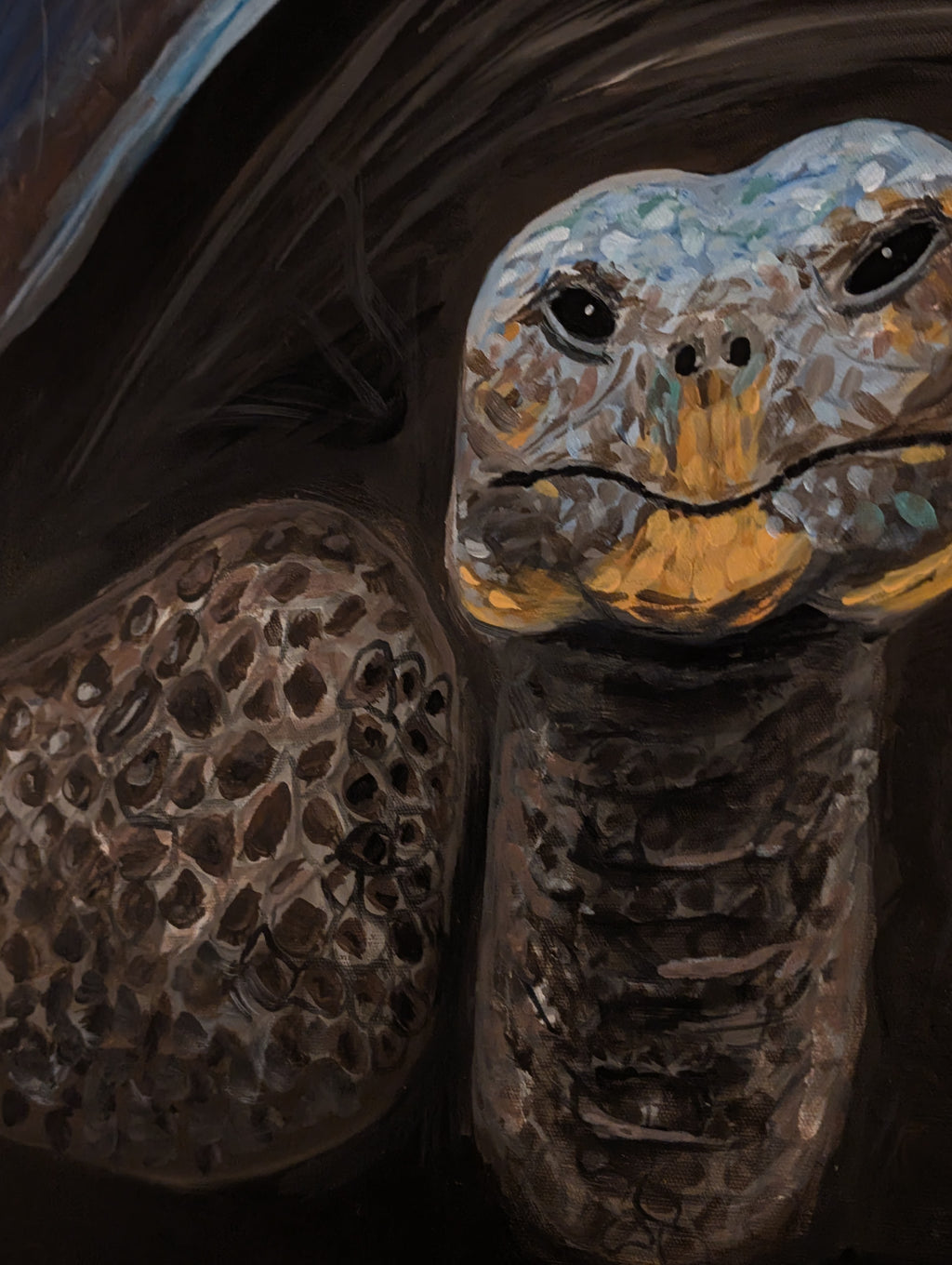 Schildkröte Acrylgemälde Original – 70×50 cm | deko-duo.de