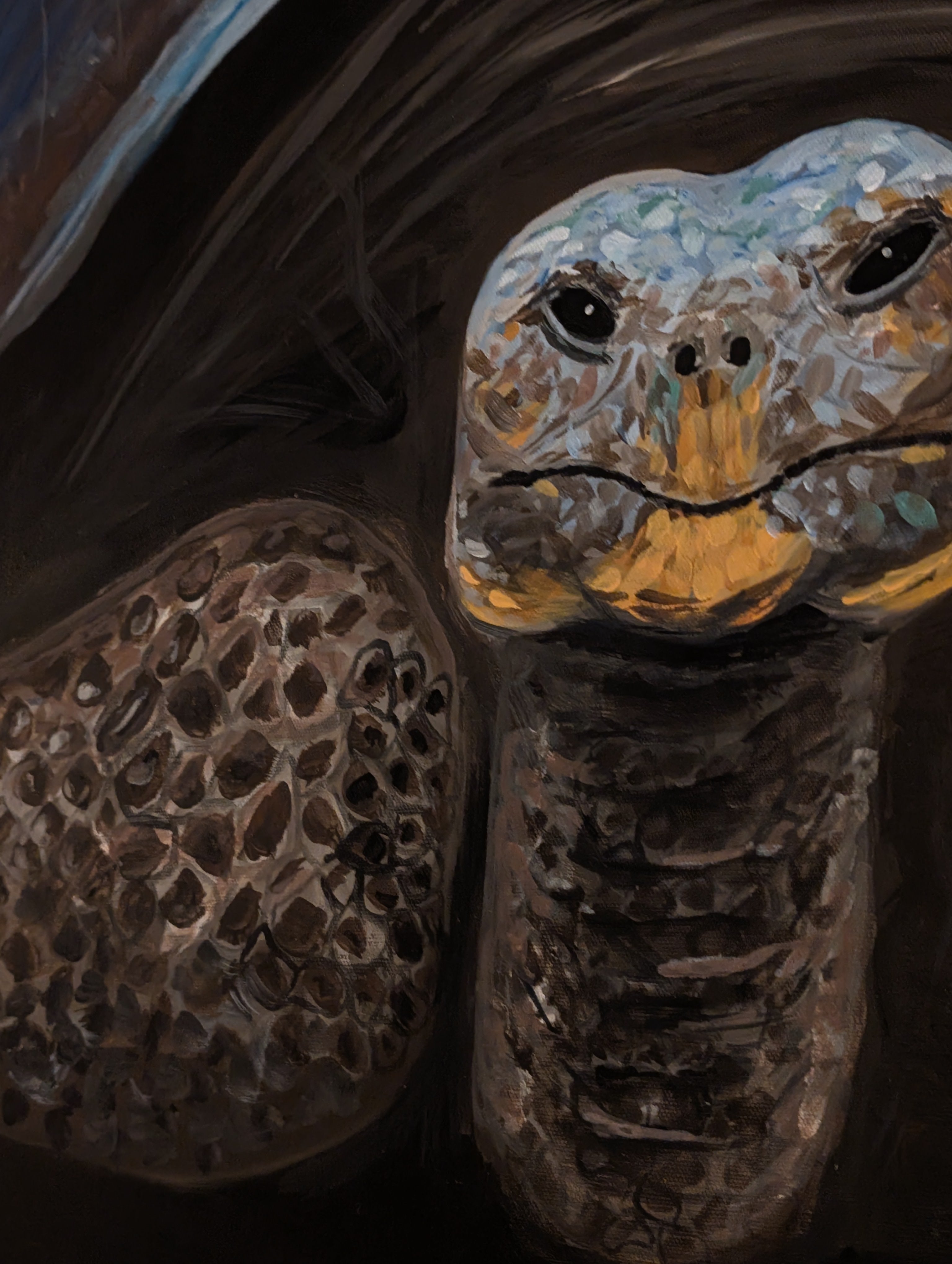 Schildkröte Acrylgemälde Original – 70×50 cm | deko-duo.de