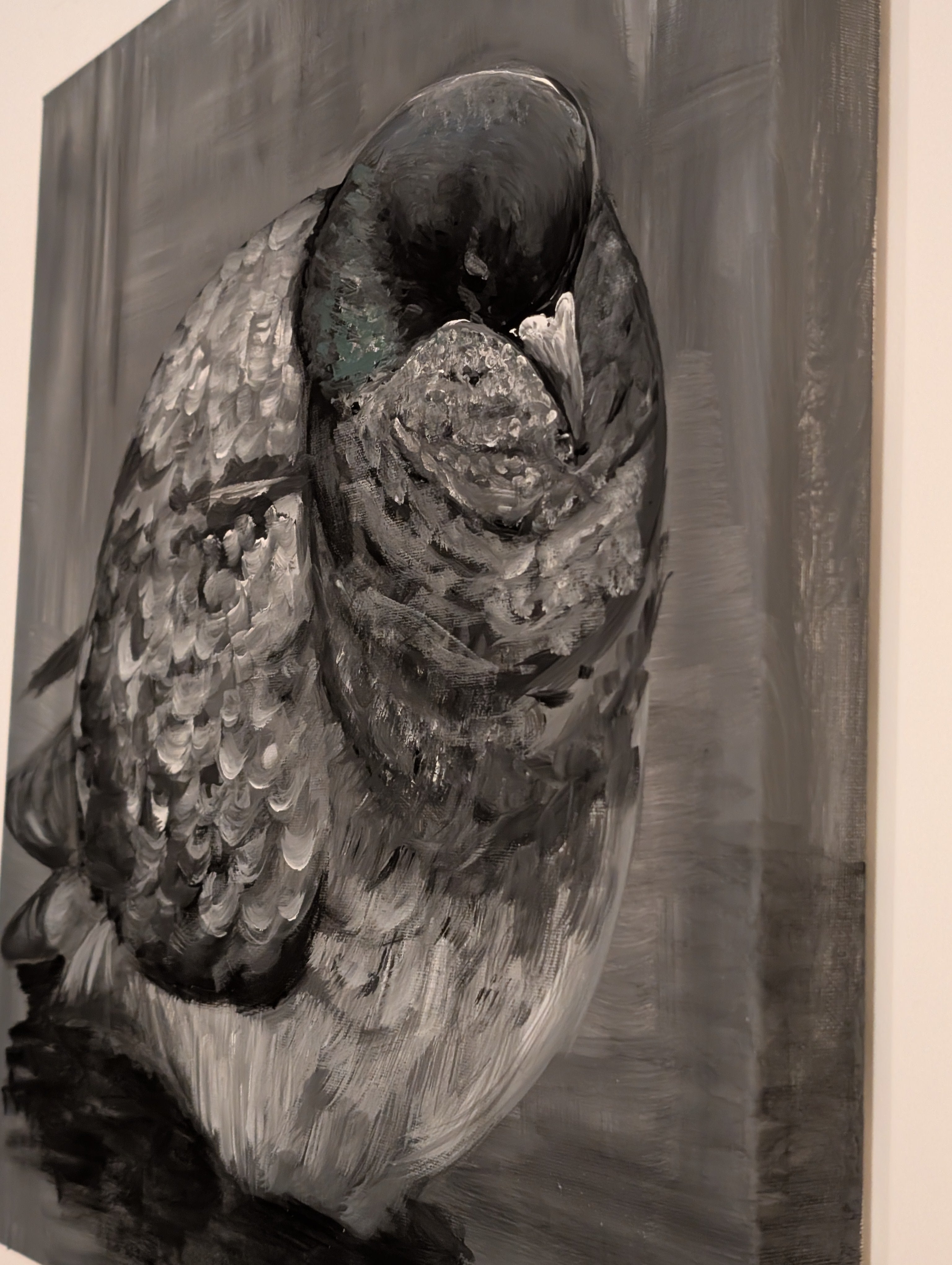 Big Bird 1.0 | Deko Duo | Kunst Acrylgemälde - handgemalte Taube