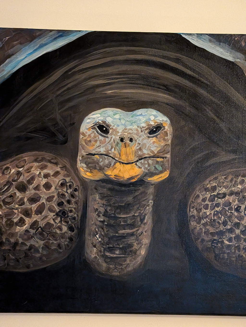 Schildkröte Acrylgemälde Original – 70×50 cm | deko-duo.de